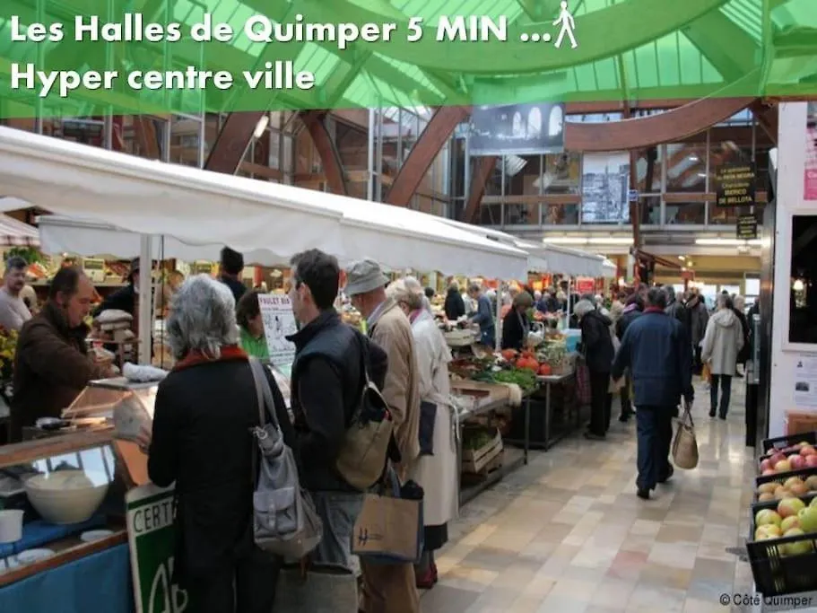 oo Le jardin oo paisible studio équipé et bien placé Quimper